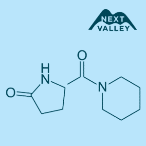 Fasoracetam Nootropics Next Valley